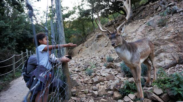 Le parc animalier de Casteil