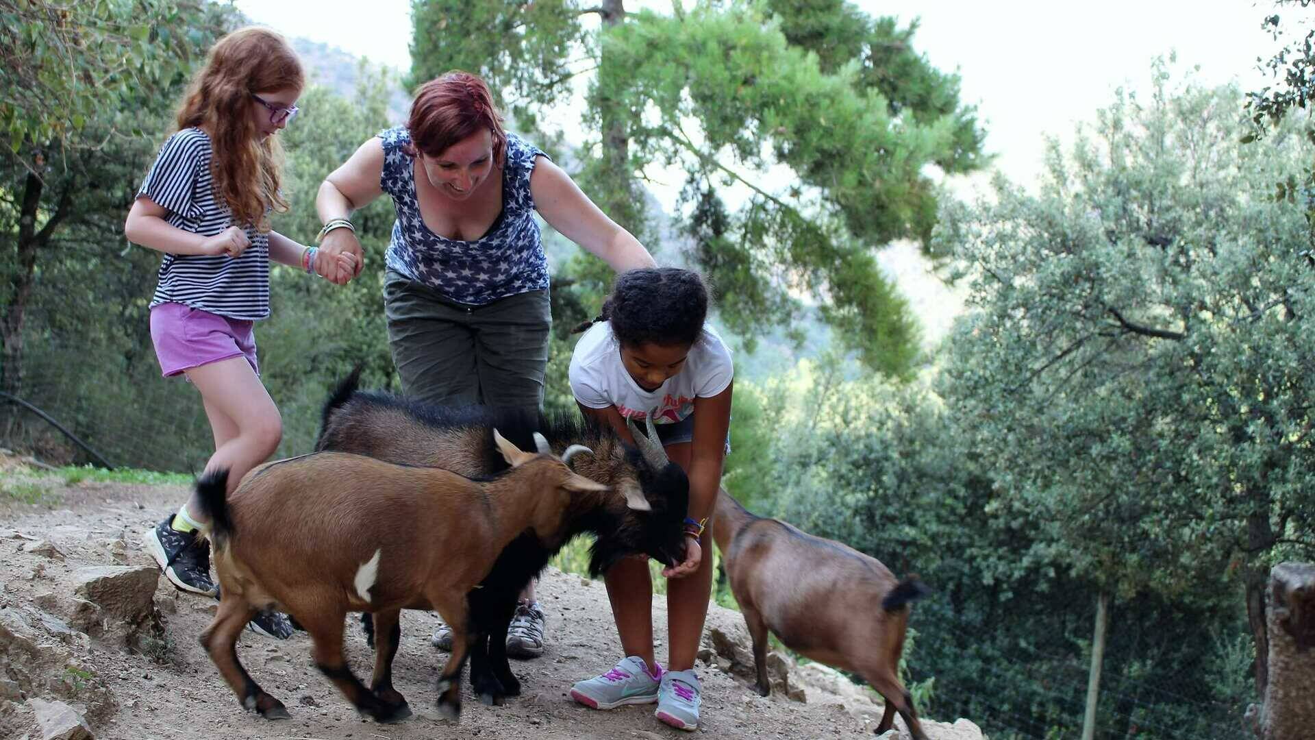 parc animalier de casteil